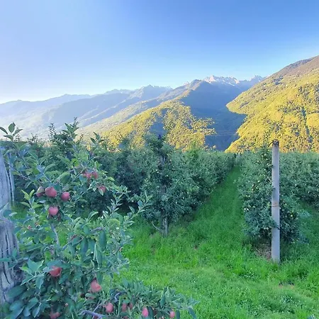 La Poma San Bernardo (Sondrio)